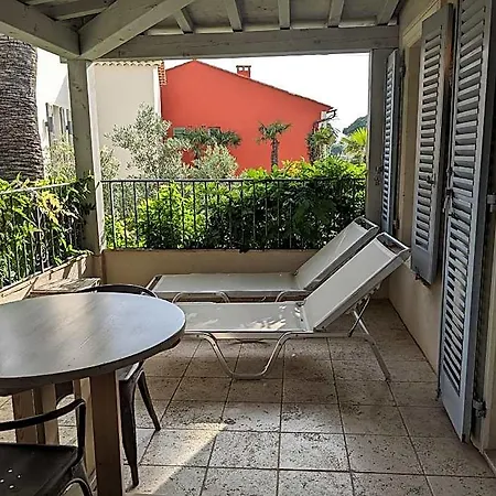 Pastis Saint-tropez Sainte-Maxime